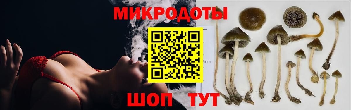 Псилоцибиновые грибы прущие грибы Миллерово